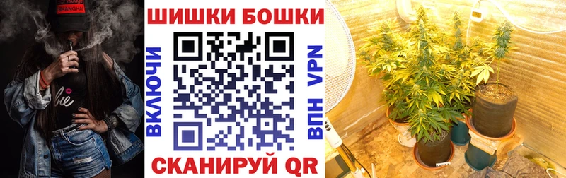 Каннабис план  blacksprut ссылки  Новочеркасск 